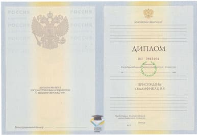 Диплом ВСИЭП г. Иркутск 2010-2011 годов